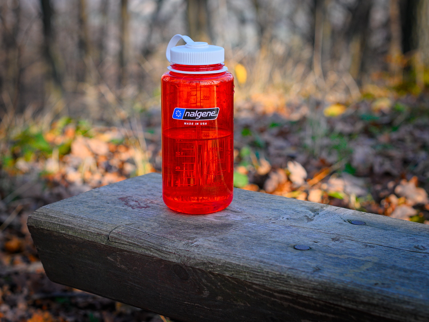 Nalgene Tritan Wide Mouth BPA-Free (32 oz)