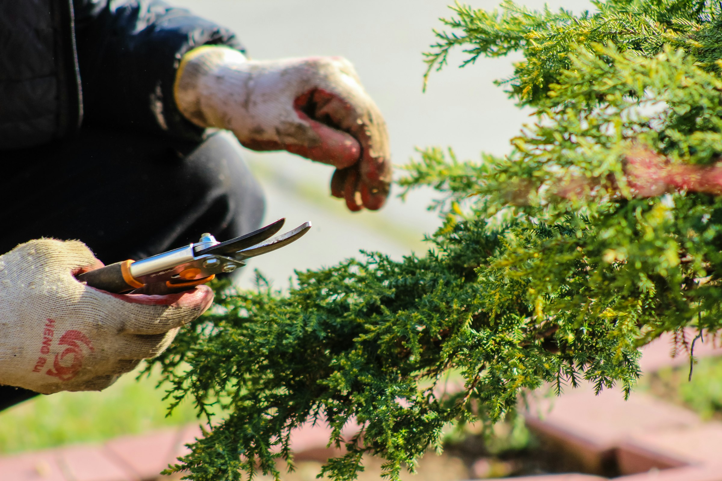 Vault Unlock: Gifts for Gardeners